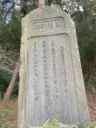 代表画像