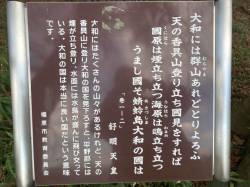 代表画像