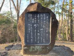 代表画像