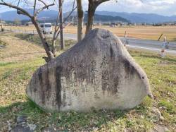 代表画像