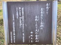 代表画像