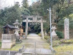 代表画像