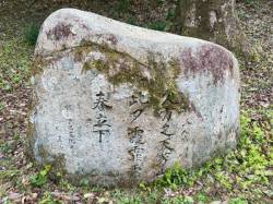 代表画像