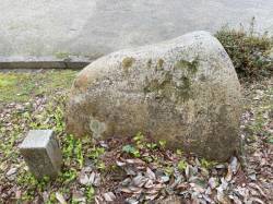 代表画像