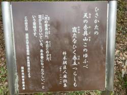 代表画像