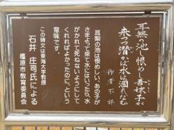 代表画像