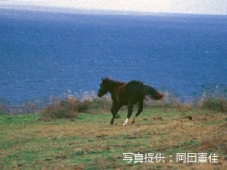 代表画像