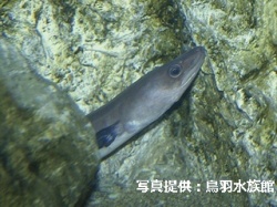 代表画像