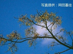 代表画像