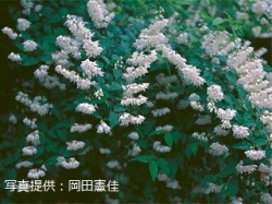 代表画像