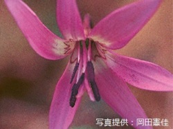 代表画像