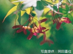 代表画像