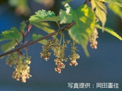 代表画像