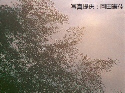 代表画像