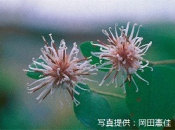 代表画像