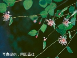 代表画像