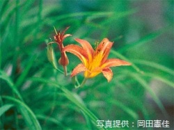 代表画像