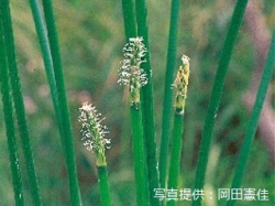 代表画像